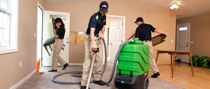 Springfield, IL cleaning services